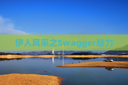 伊人风采之Swagger魅力
